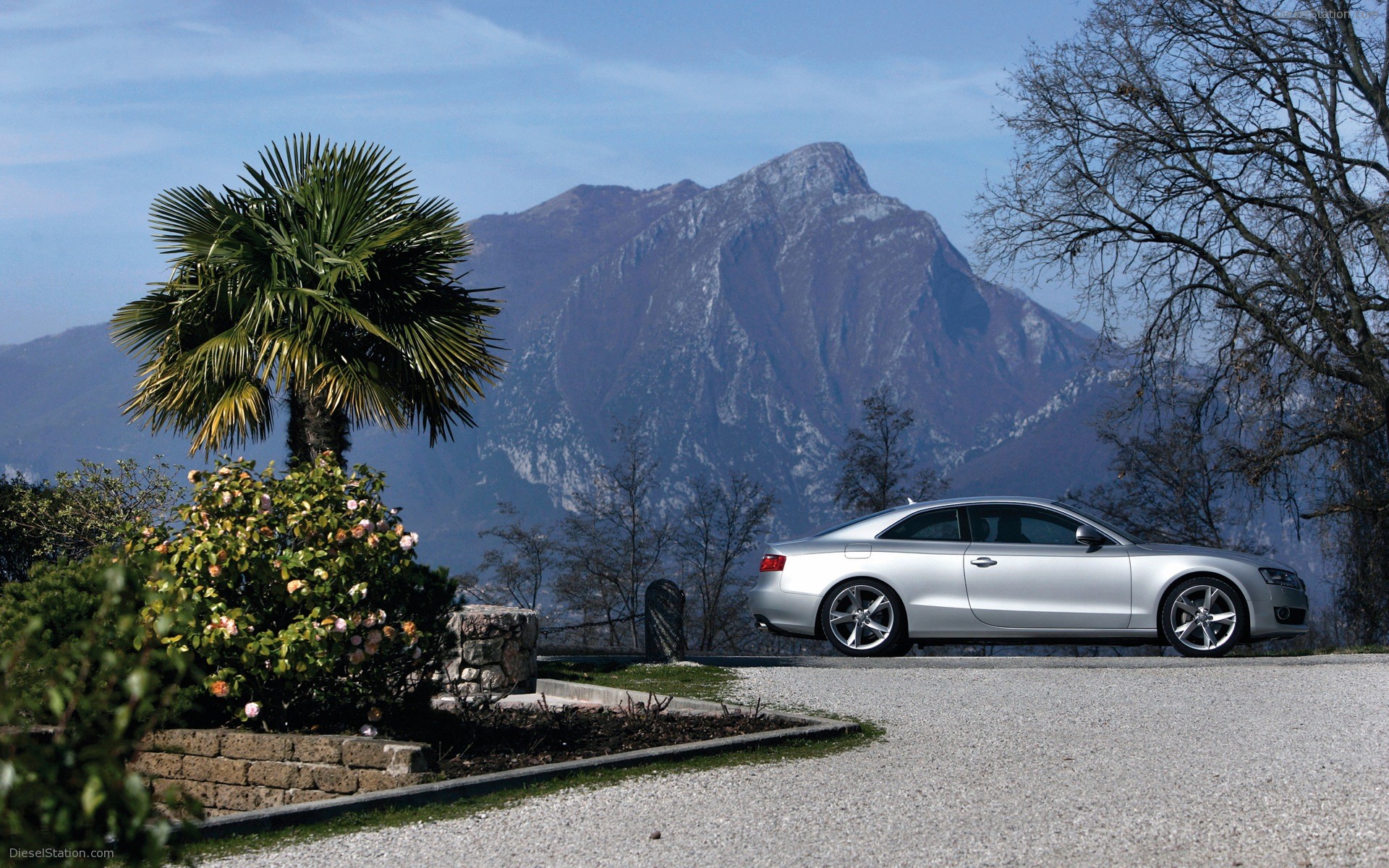 Audi A5 (2007)